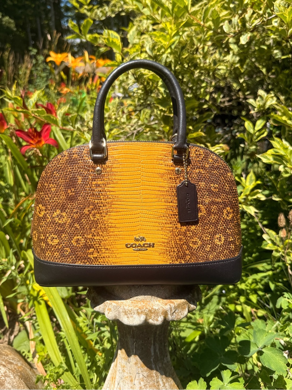 Coach Lizard Sierra Mini Satchel Bag